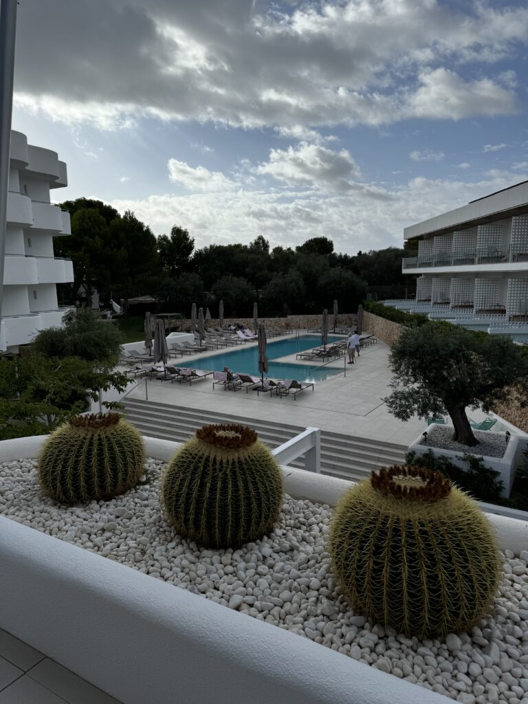 Cactus theme